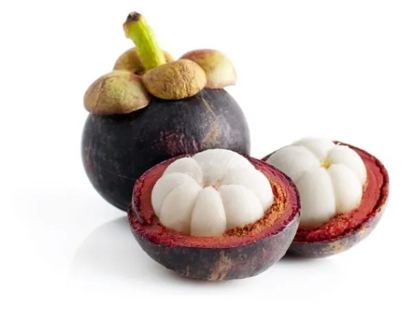 buah manggis