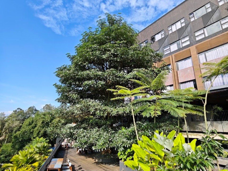 Hotel Dafam Wonosobo